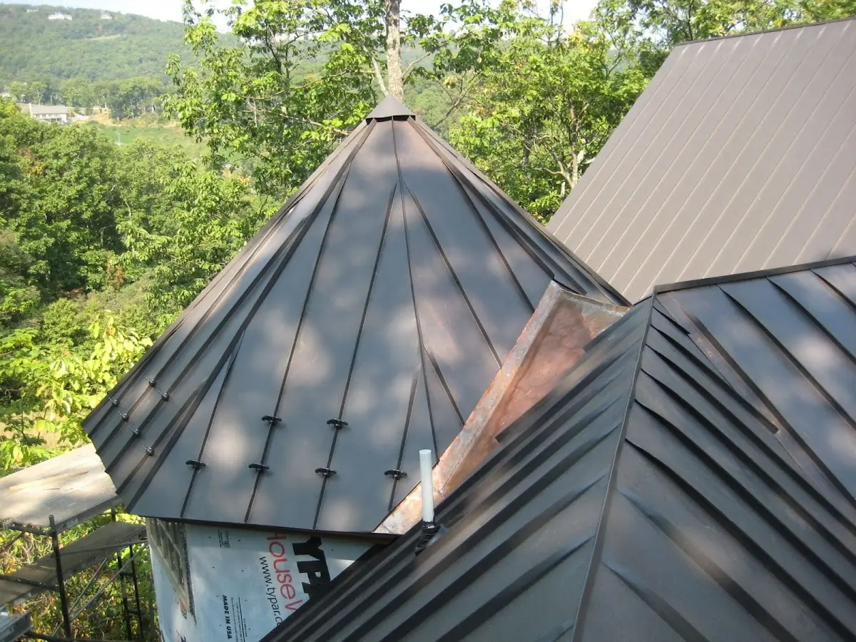 Professional Gutter Cleaning by Craftsman Roofing in Pioneer